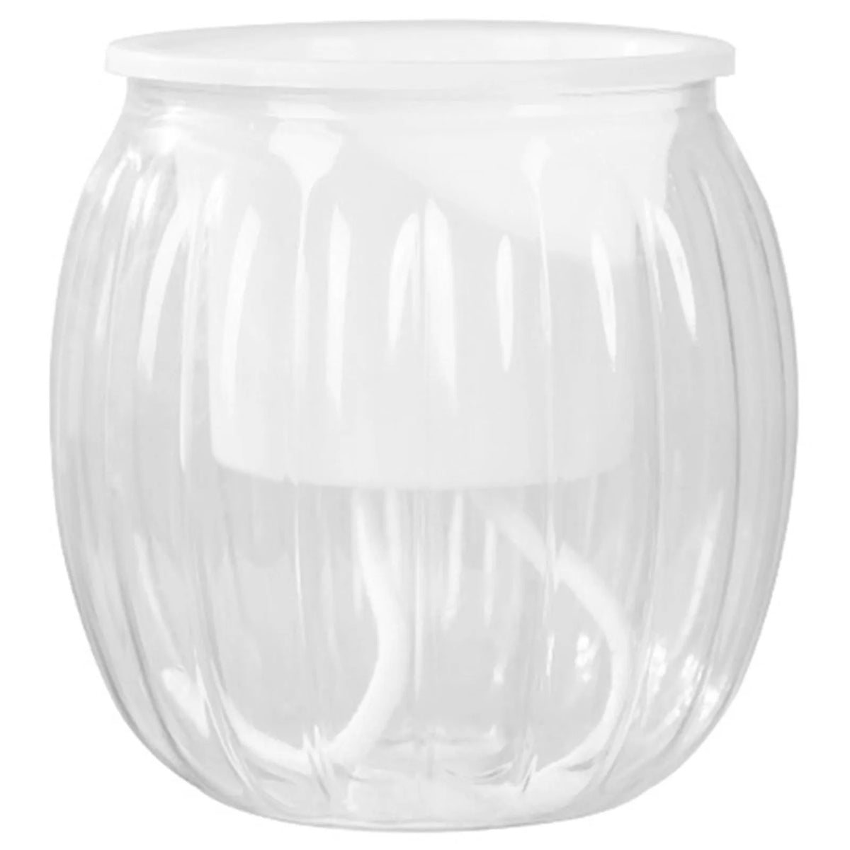 Clear Self-Watering Planter