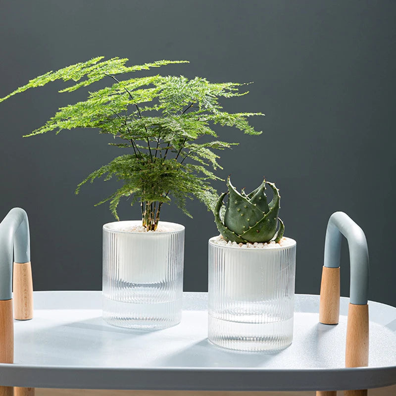 Mini Self-Watering Tabletop Planter