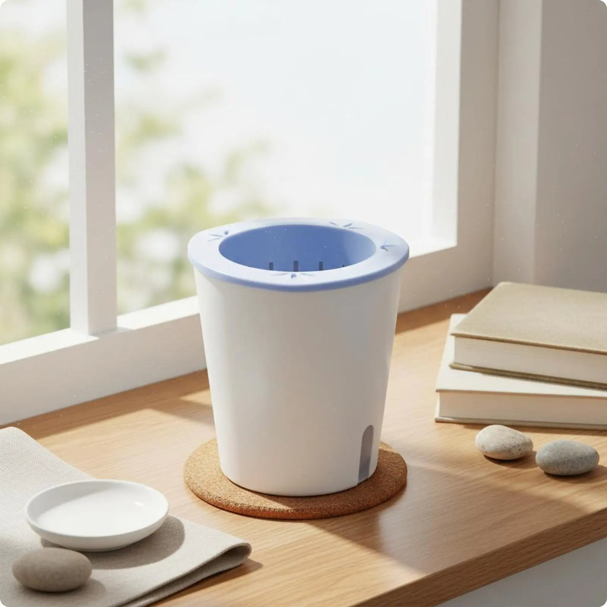 Self-Watering Planter with Reservoir