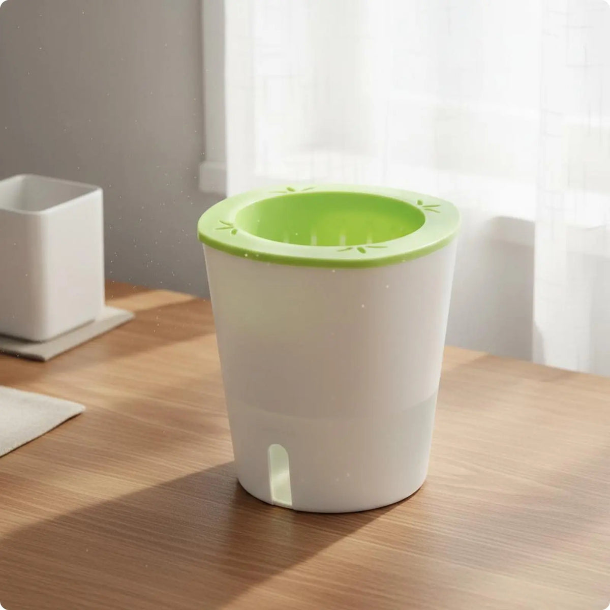 Self-Watering Planter with Reservoir