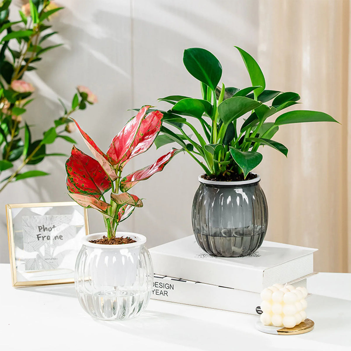 Clear Self-Watering Planter