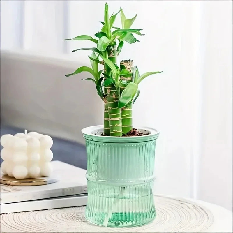 Transparent Self-Watering Office Planter
