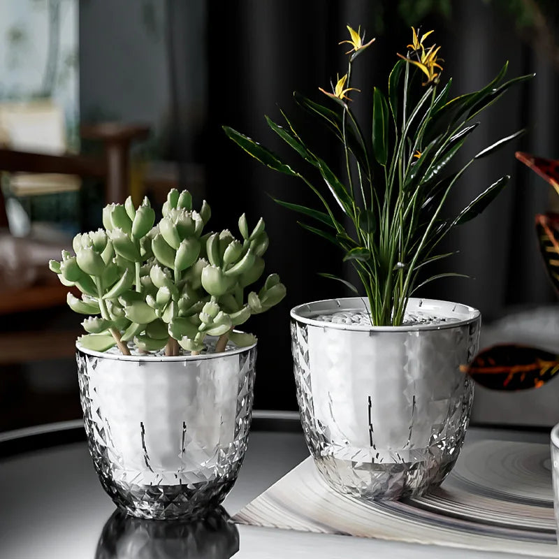 Self-Watering Succulent Pot