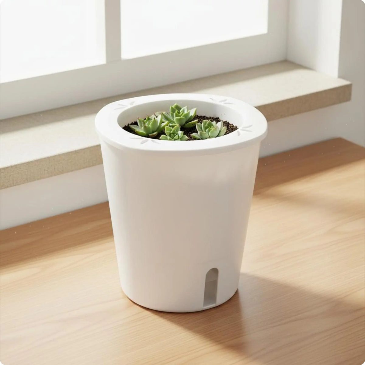 Self-Watering Planter with Reservoir