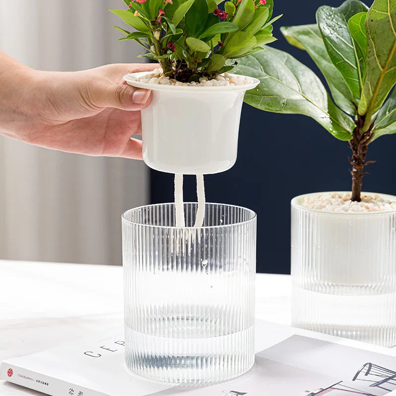 Mini Self-Watering Tabletop Planter