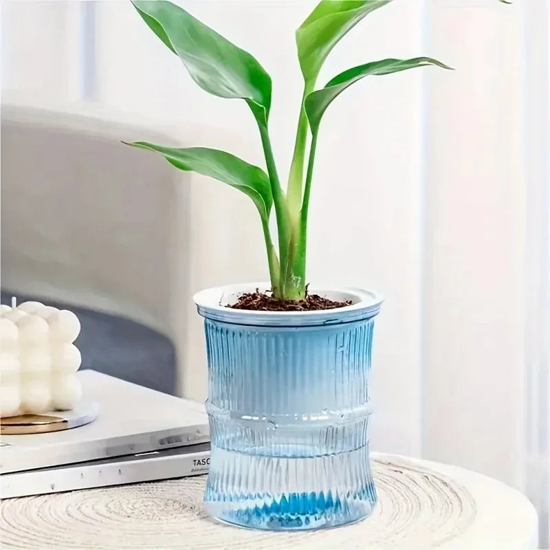 Transparent Self-Watering Office Planter