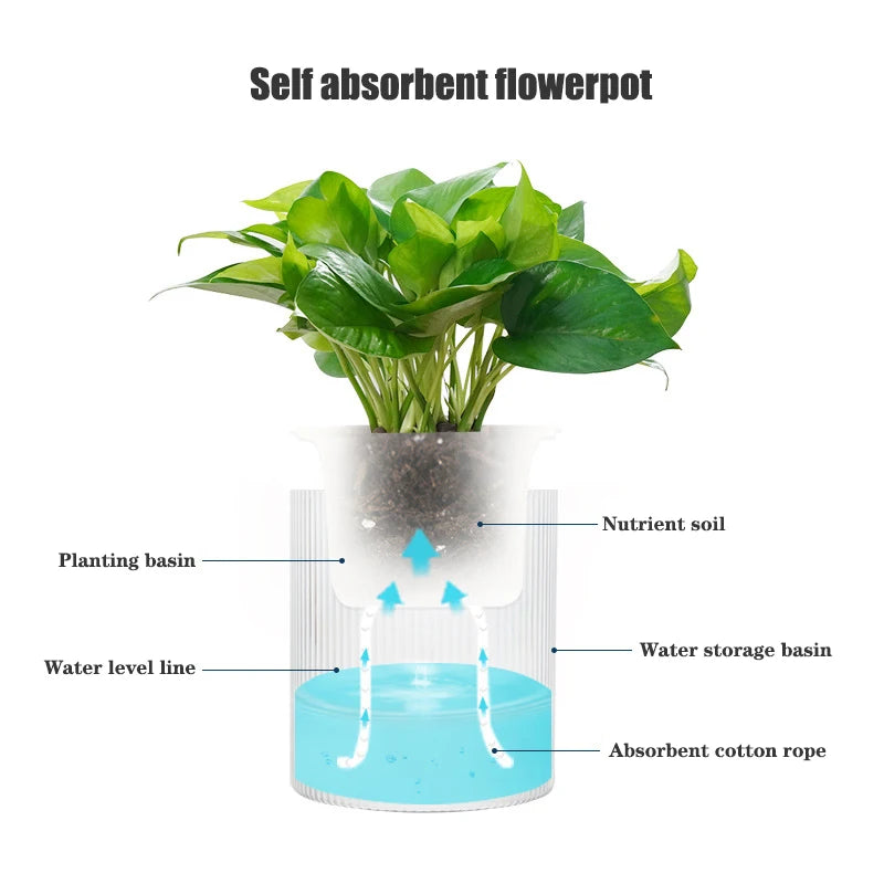 Mini Self-Watering Tabletop Planter
