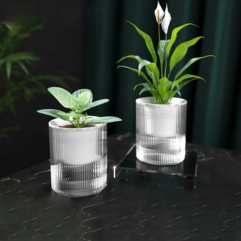 Mini Self-Watering Tabletop Planter
