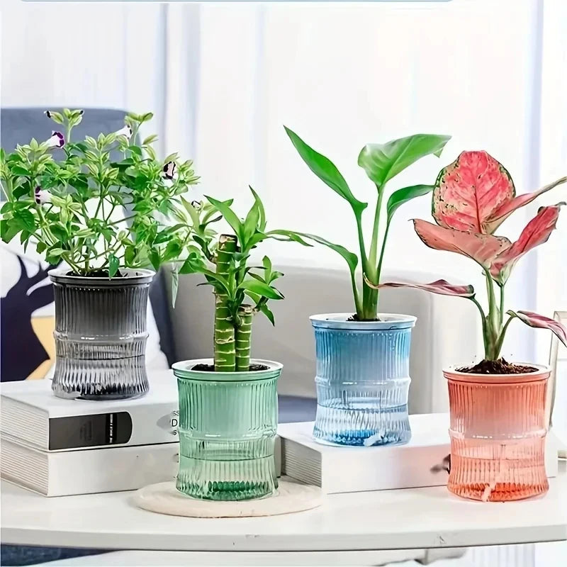 Transparent Self-Watering Office Planter