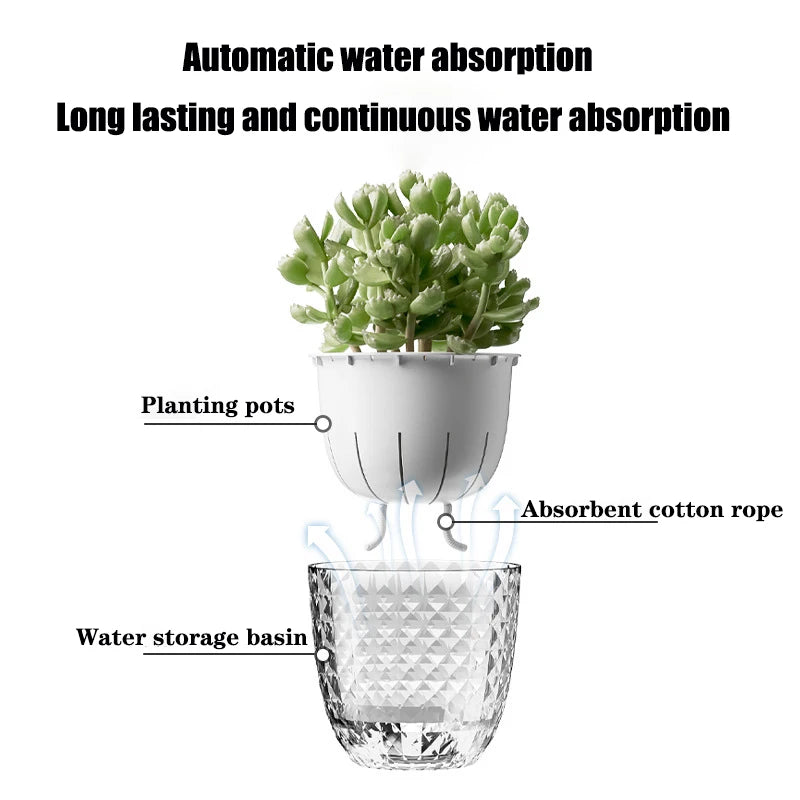 Self-Watering Succulent Pot