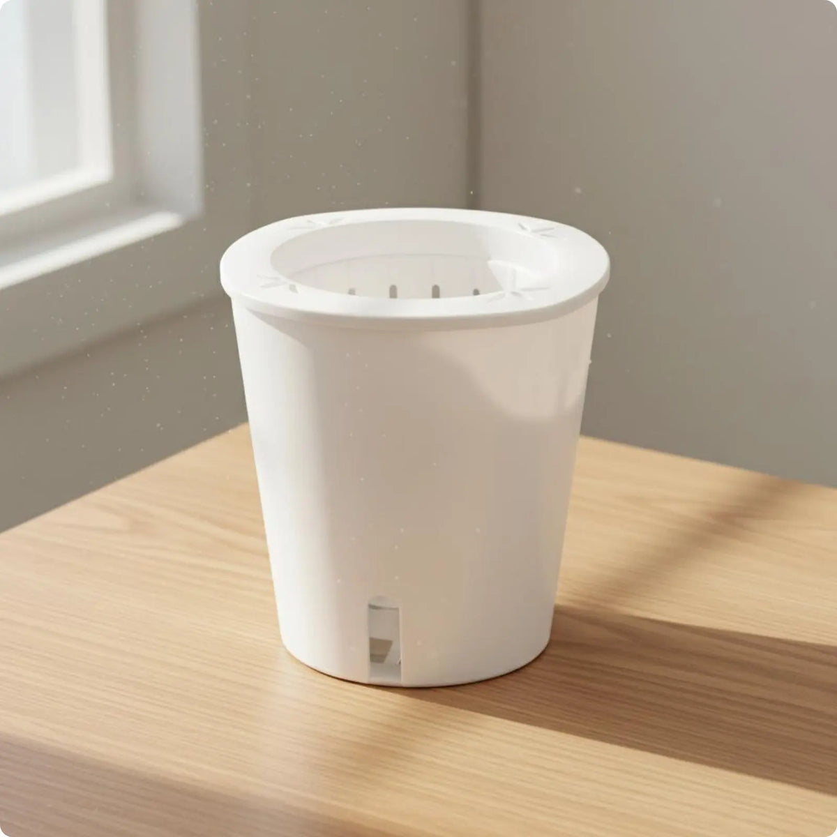 Self-Watering Planter with Reservoir