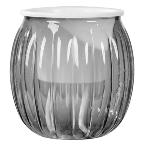 Clear Self-Watering Planter