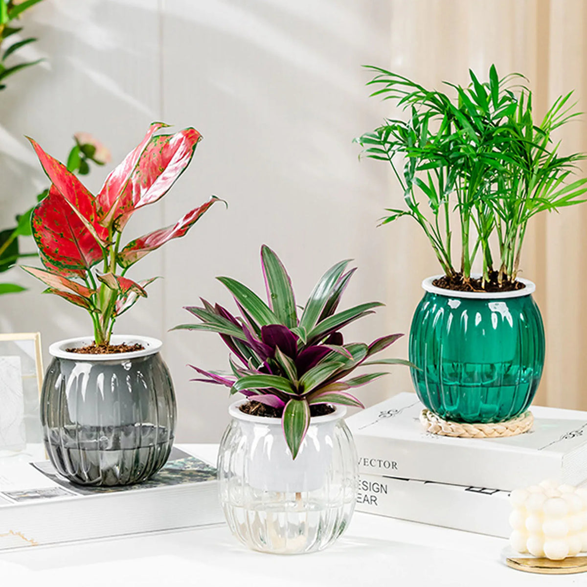 Clear Self-Watering Planter
