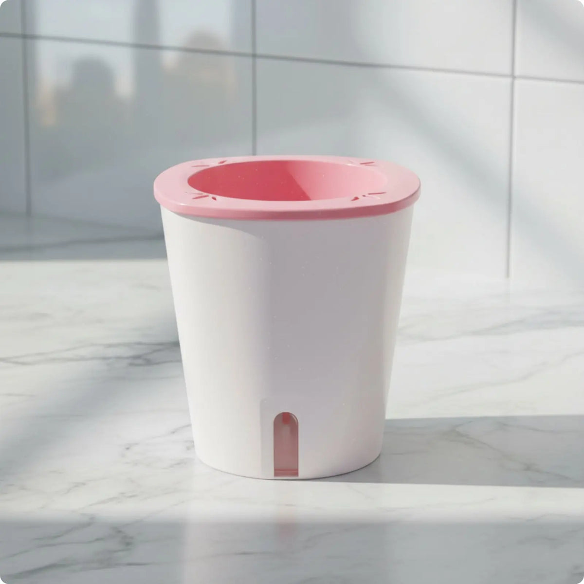 Self-Watering Planter with Reservoir