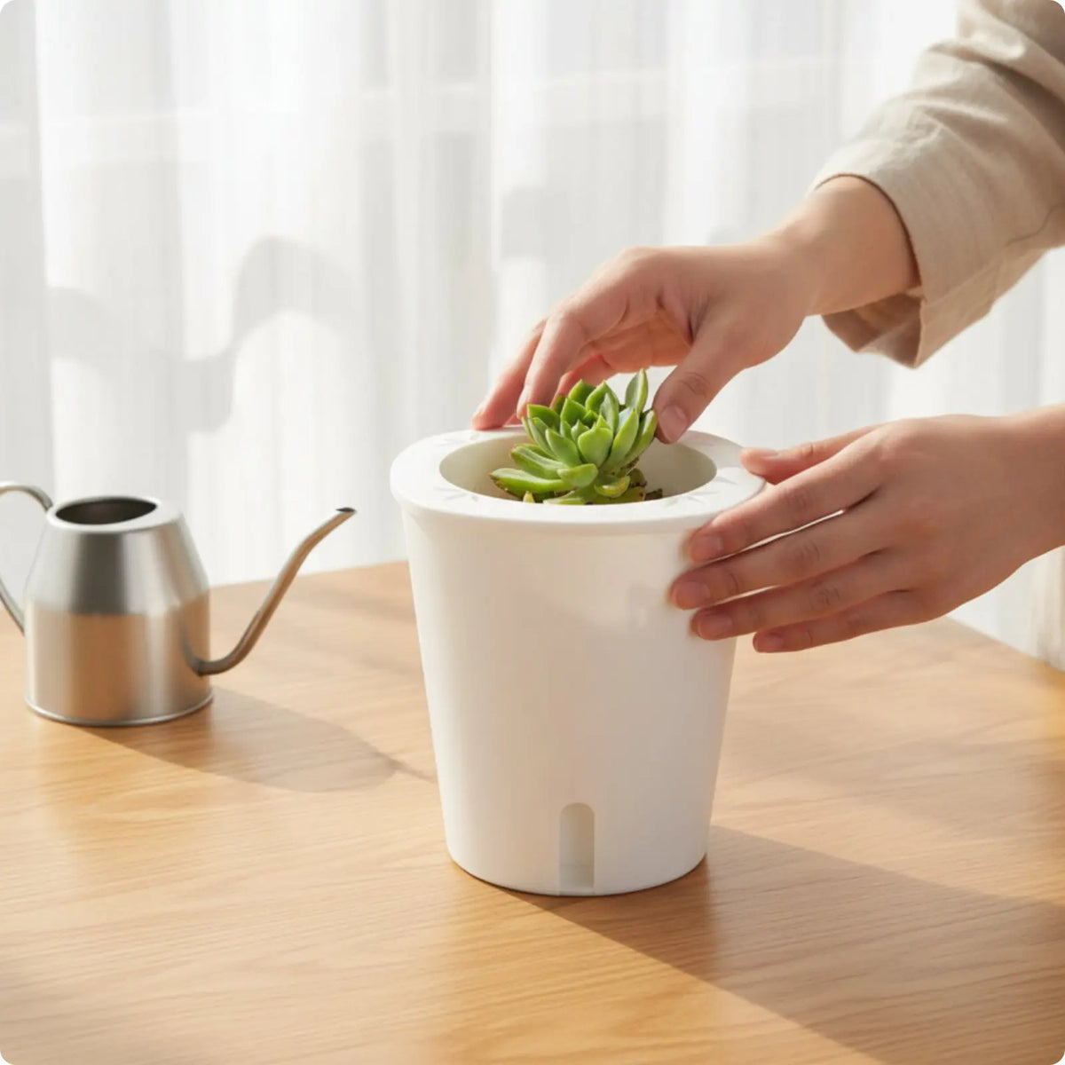Self-Watering Planter with Reservoir