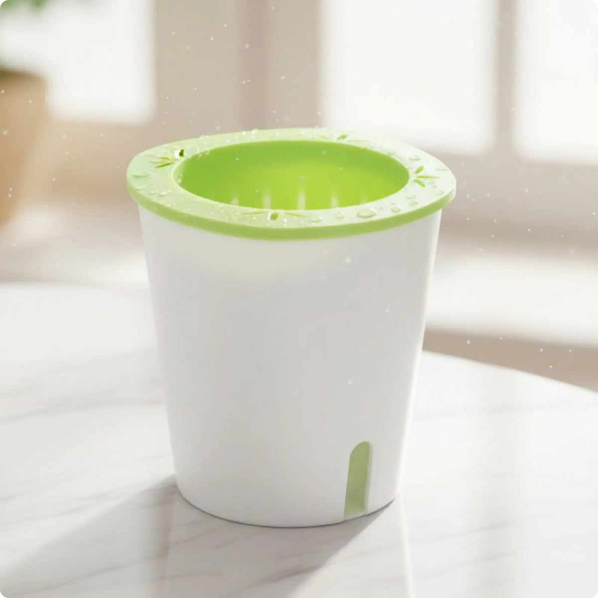 Self-Watering Planter with Reservoir